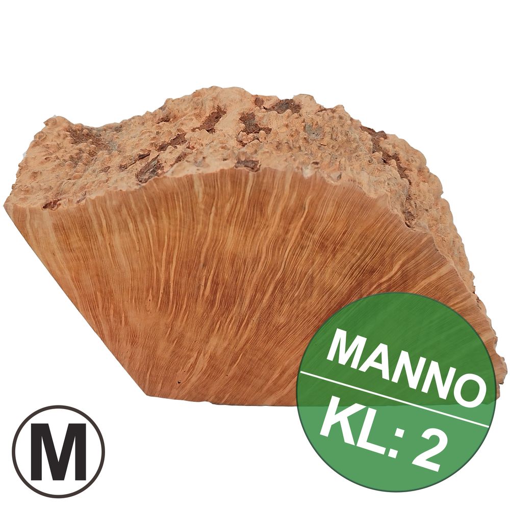 Manno-KL2-M.jpg