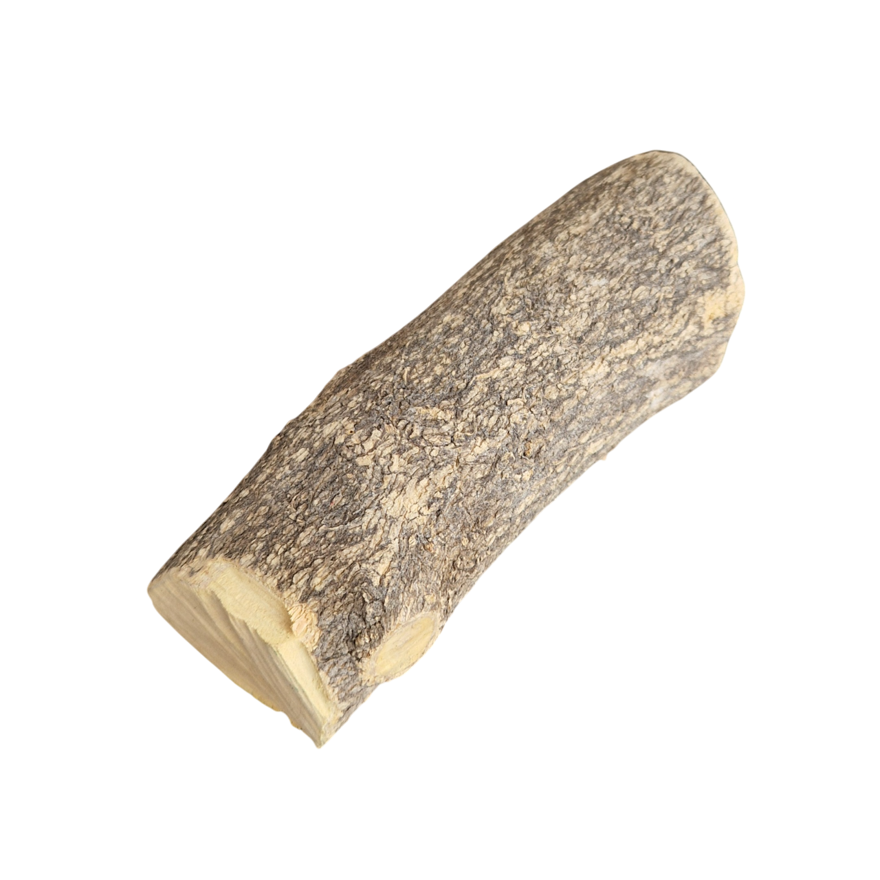 1 Stamm Buchsbaum Drechselholz Buxus Buchsbaumholz Edelholz - Pfeifenecke