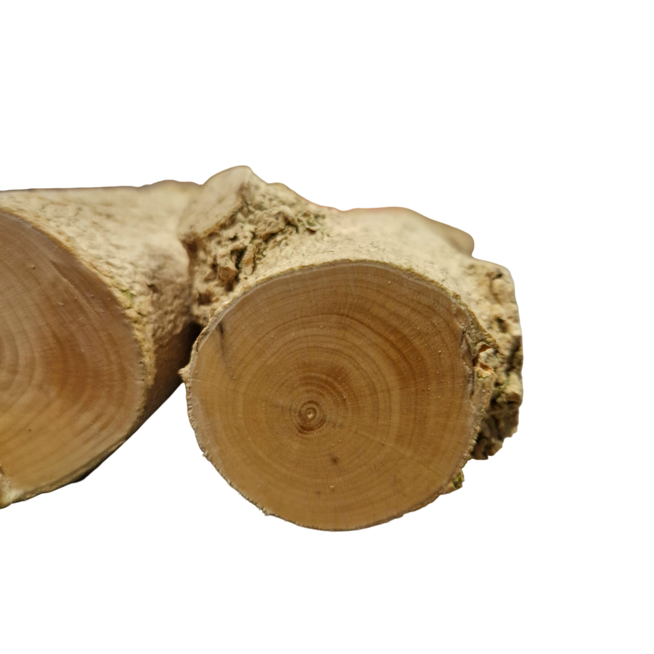 1 Stamm Buchsbaum Drechselholz Buxus Buchsbaumholz Edelholz - Pfeifenecke