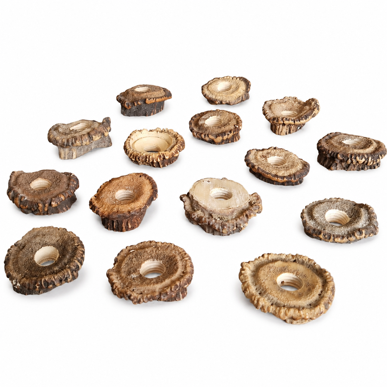 Antler Burr - 1 piece