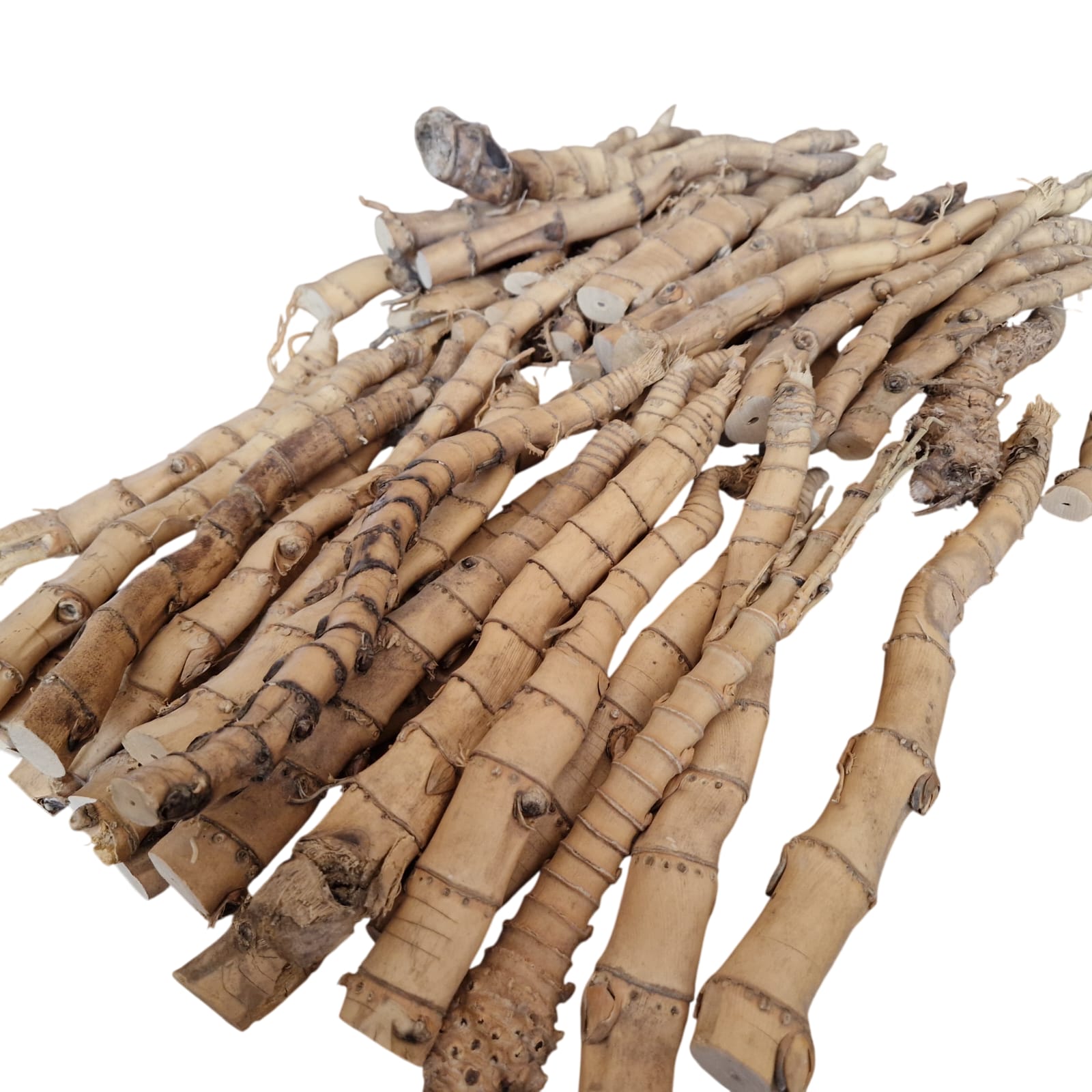 Bambus für Pfeifen "CRAZY BAMBOO" - Größe L - 1 Stück