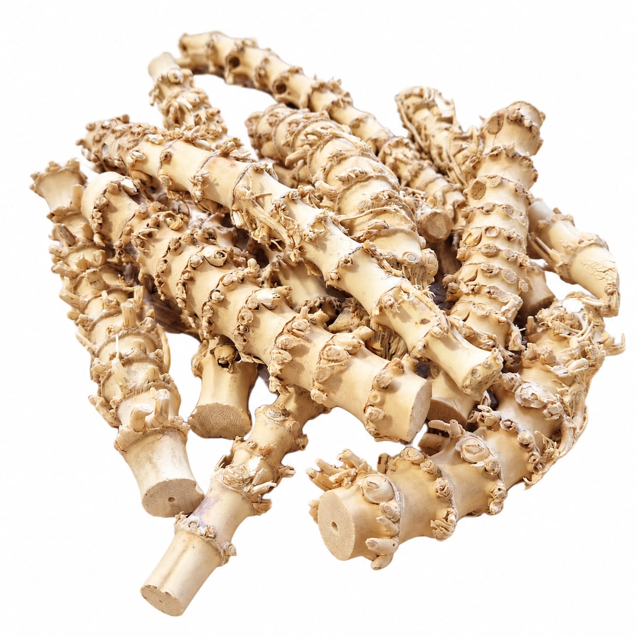 Crazy Bamboo with Tight Knuckles