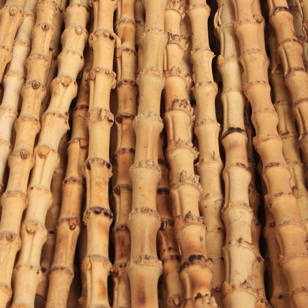 Bambus für Pfeifen - 20cm - Hell - 1 Stück - Pfeifenecke
