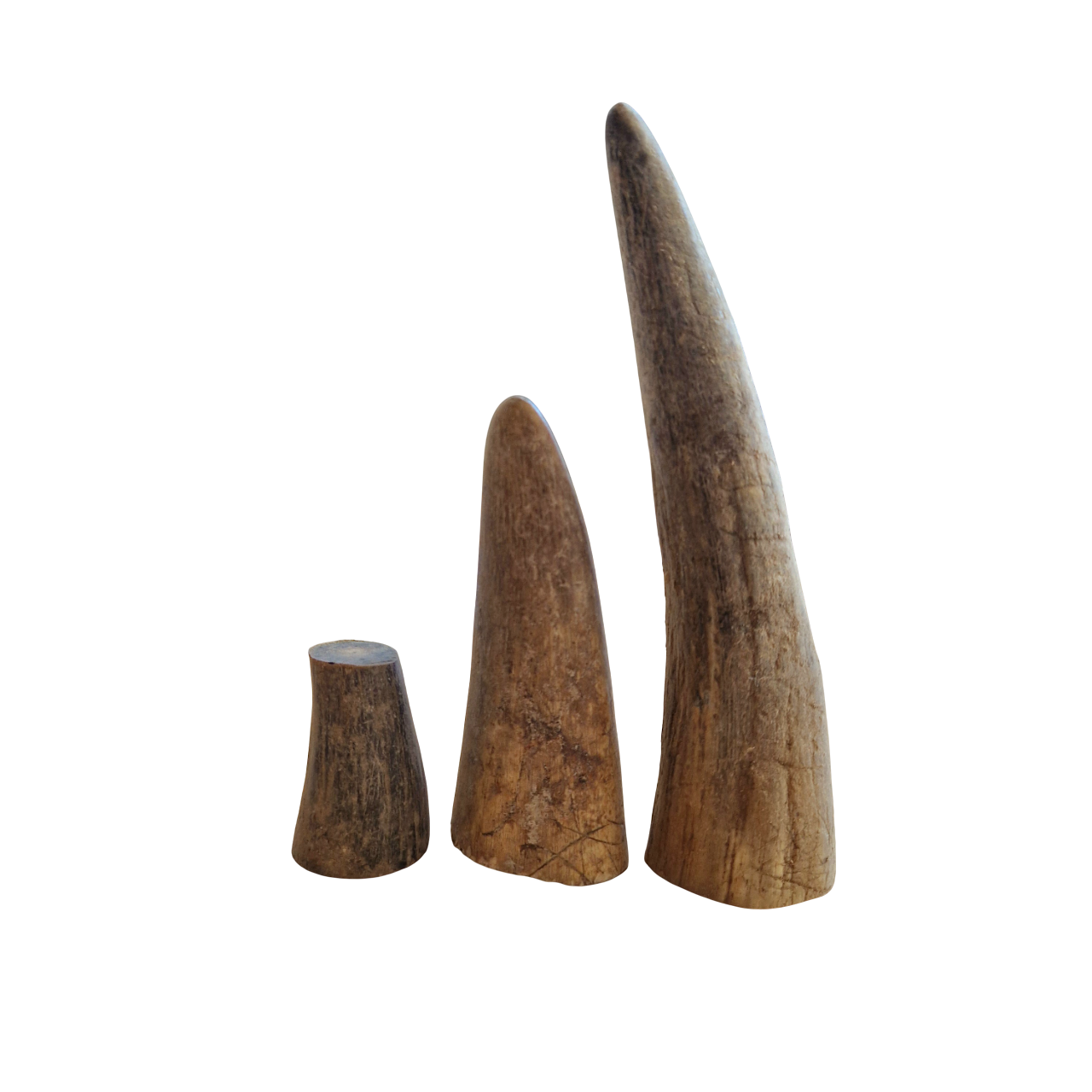 Hornspitzen Größe L - 1 Stück - Pfeifenecke