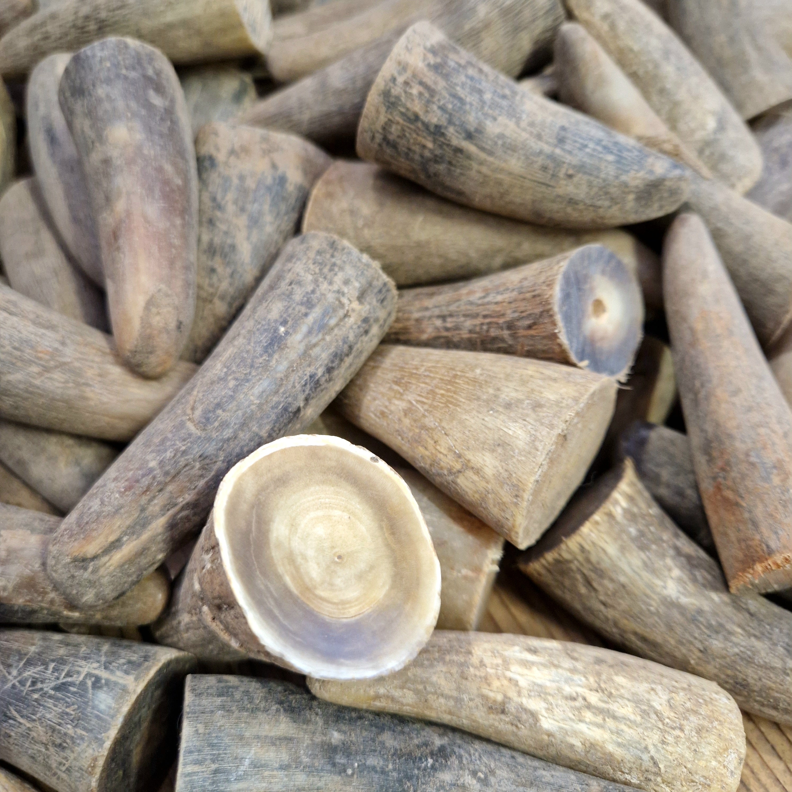 Hornspitzen Größe M - 1 Stück - Pfeifenecke