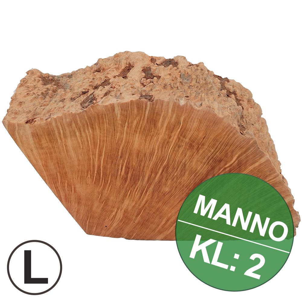 Manno-KL2-L.jpg