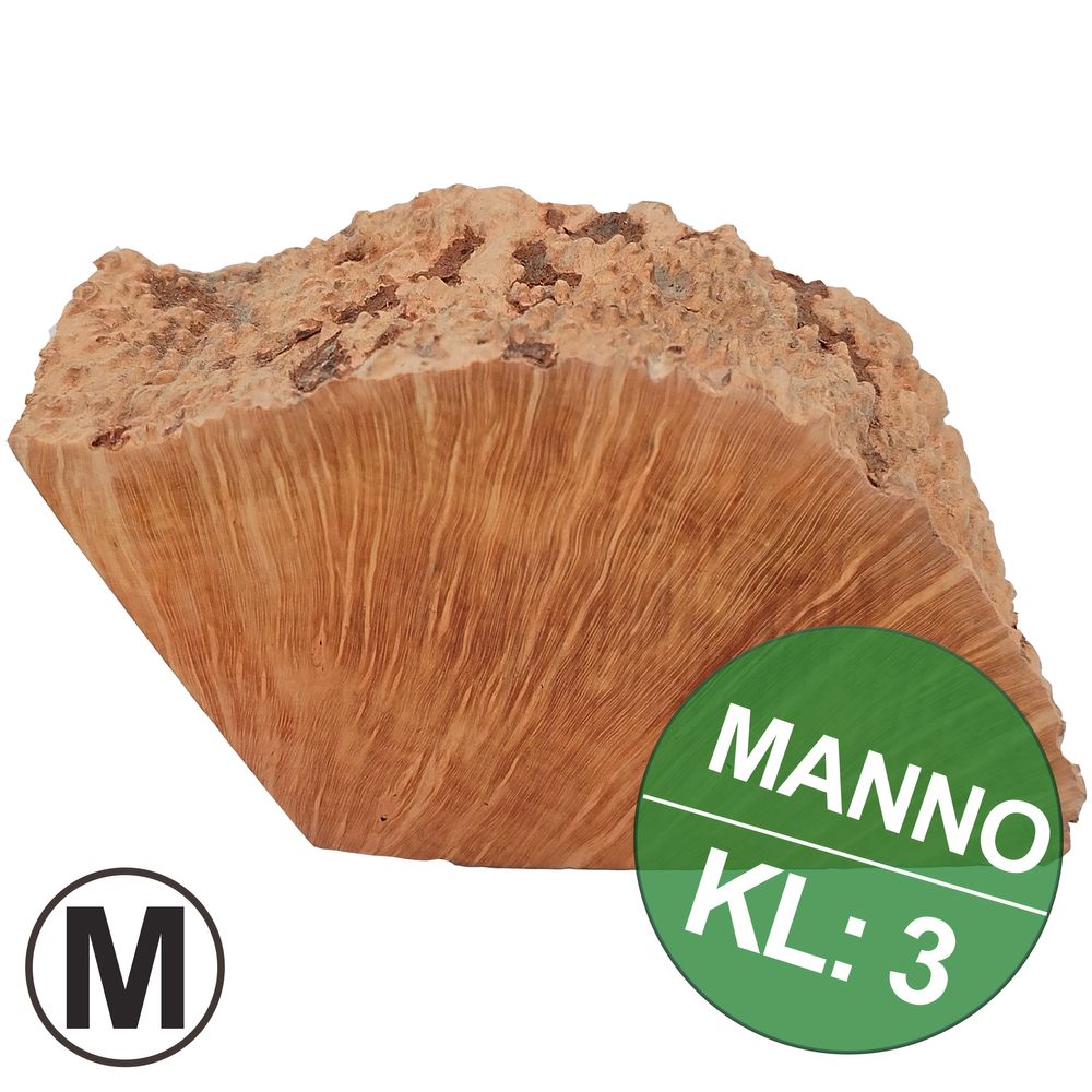 Manno-KL3-M.jpg